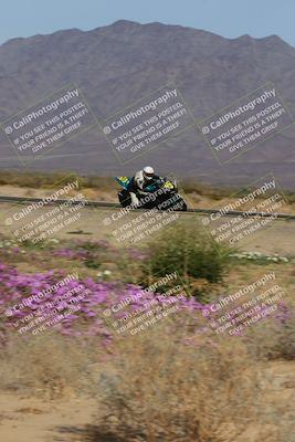 media/Feb-04-2023-SoCal Trackdays (Sat) [[8a776bf2c3]]/Turn 15 Inside Blooming (1050am)/